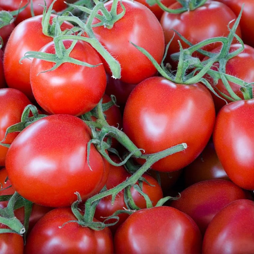 Gardener's Delight