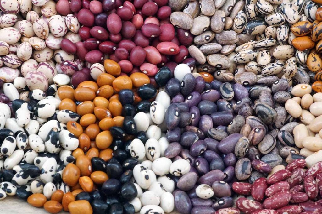 Beans
