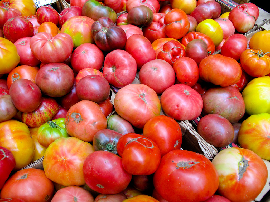Tomatoes