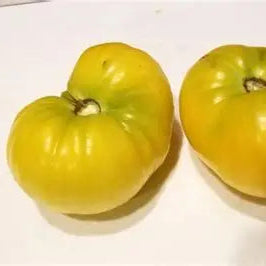 Basinga