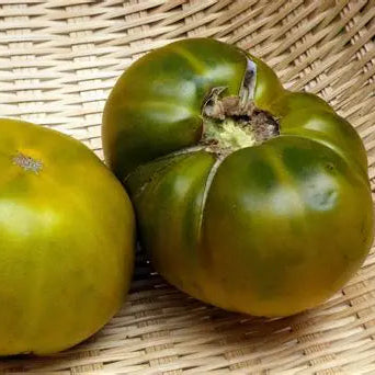Cherokee Green