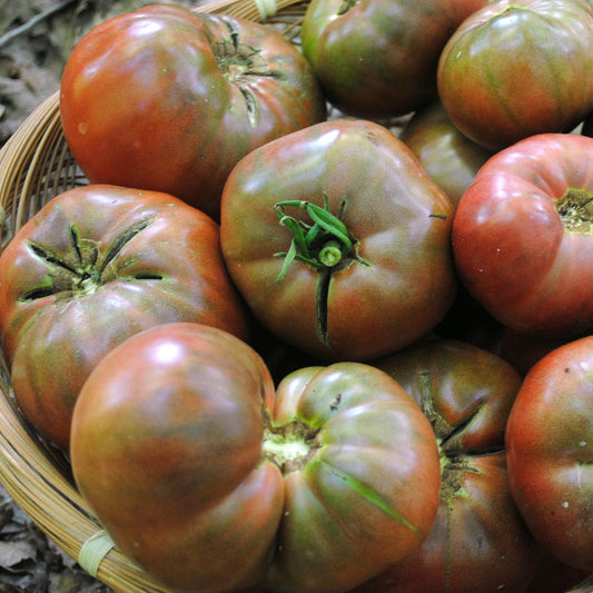 Cherokee Purple