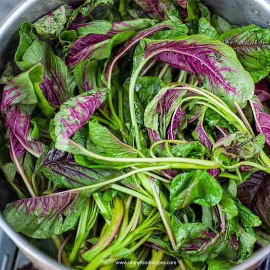 Chinese Multicolor Spinach
