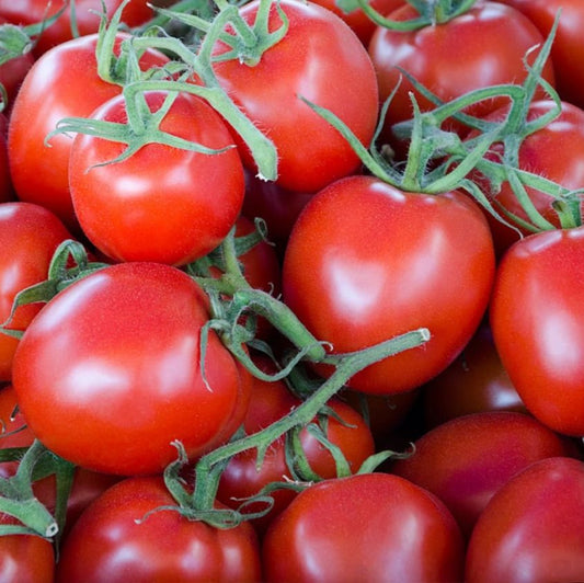 Gardener's Delight