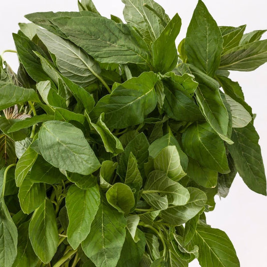 Green Leaf