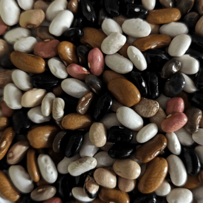 Magic Beans