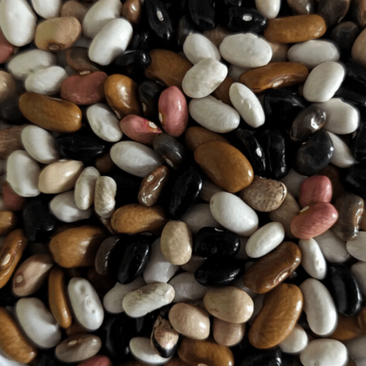 Magic Beans