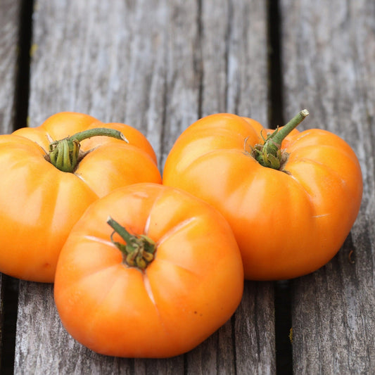Oma's Orange