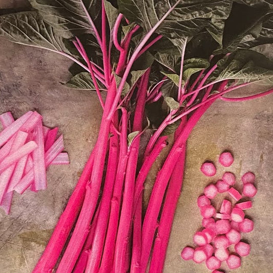 Pink Beauty