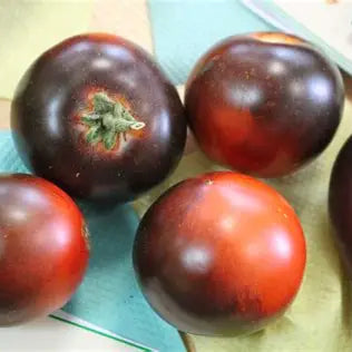 Red Charcoal