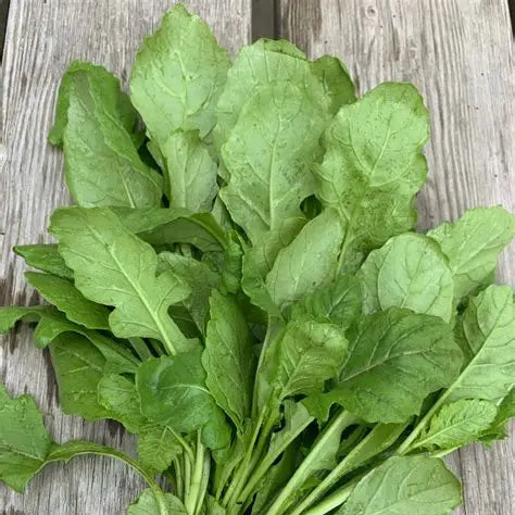 Wasabi